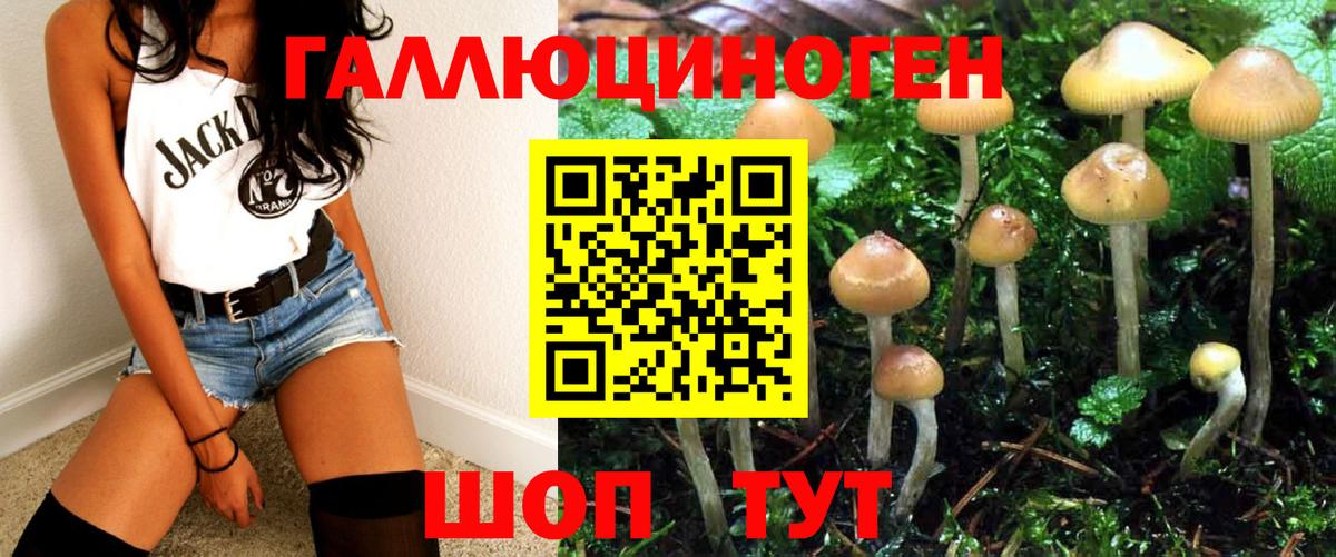 Галлюциногенные грибы MAGIC MUSHROOMS Ковров