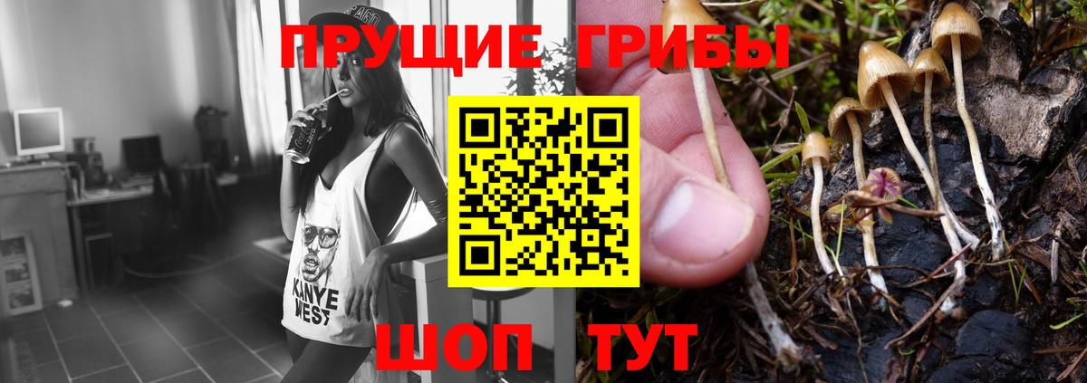 Псилоцибиновые грибы Magic Shrooms  Вход с VPN  Ковров 